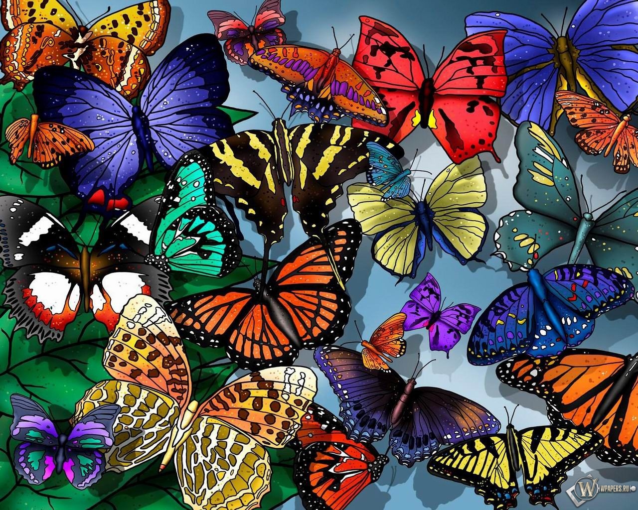 Разноцветные бабочки 1280x1024
