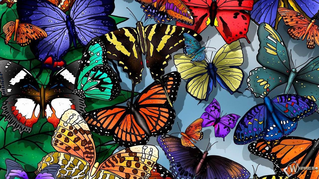 Разноцветные бабочки 1280x720