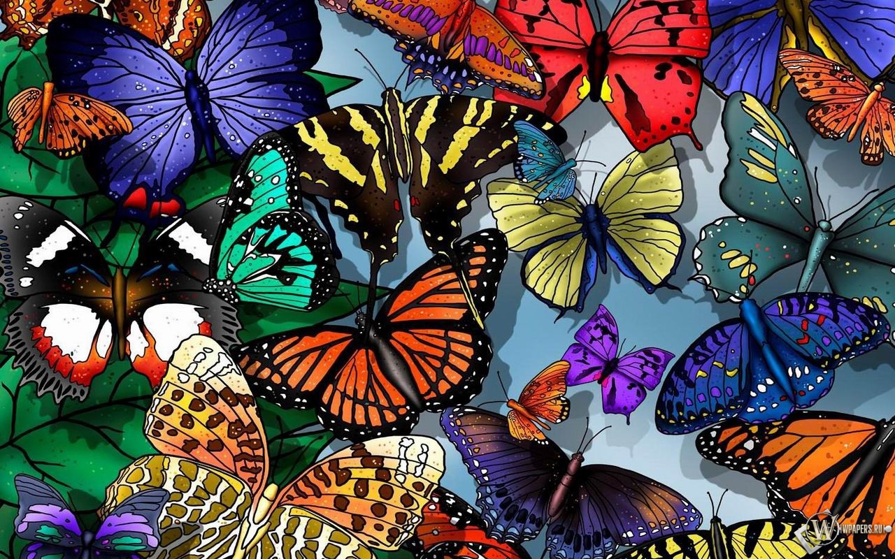 Разноцветные бабочки 1280x800