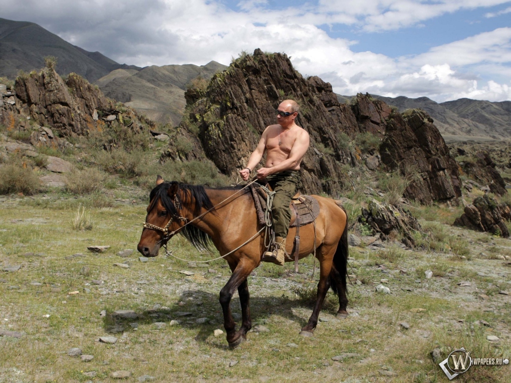 Владимир Путин на лошади 1024x768