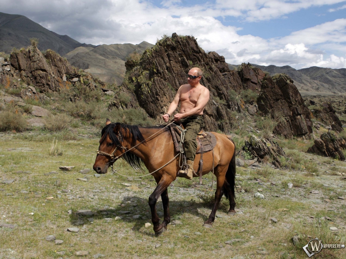 Владимир Путин на лошади 1152x864