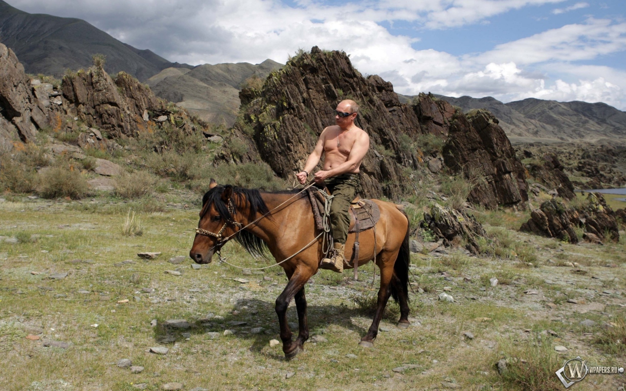 Владимир Путин на лошади 1280x800