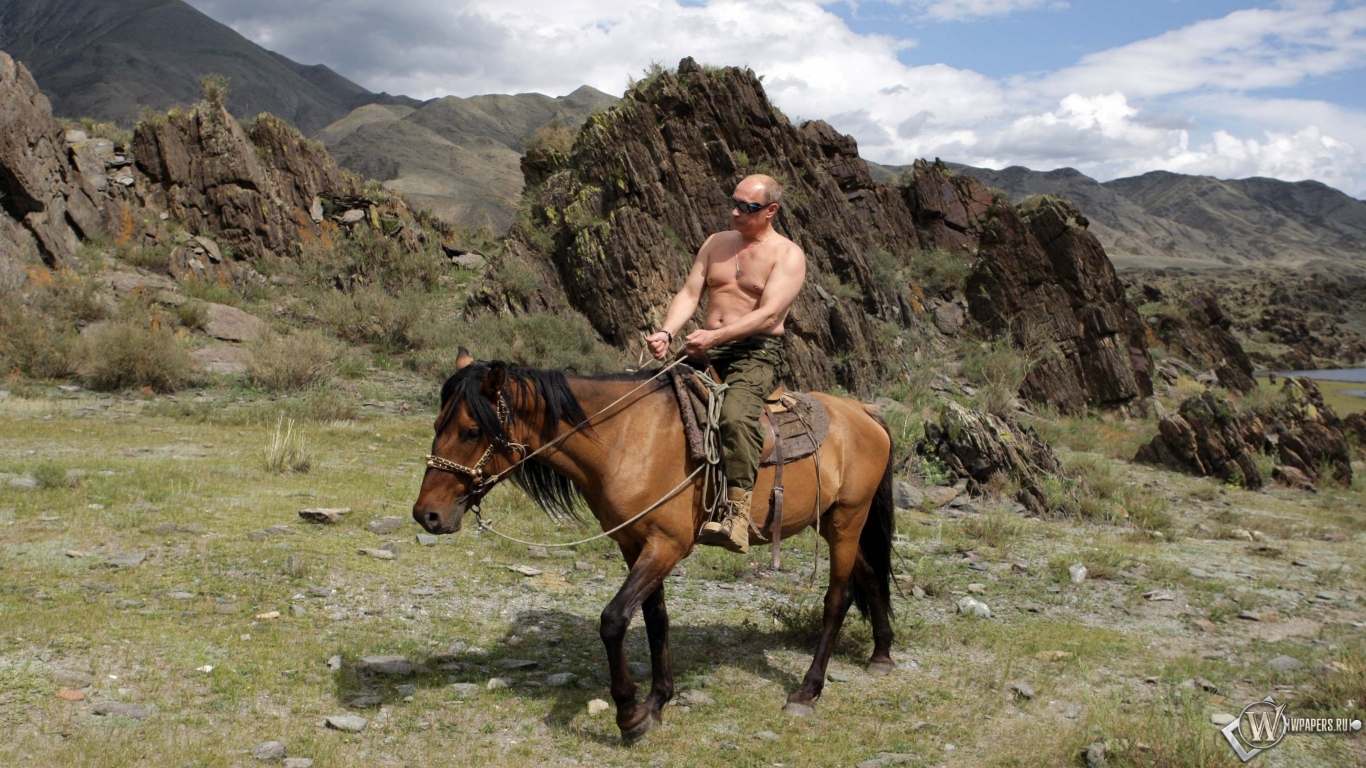 Владимир Путин на лошади 1366x768