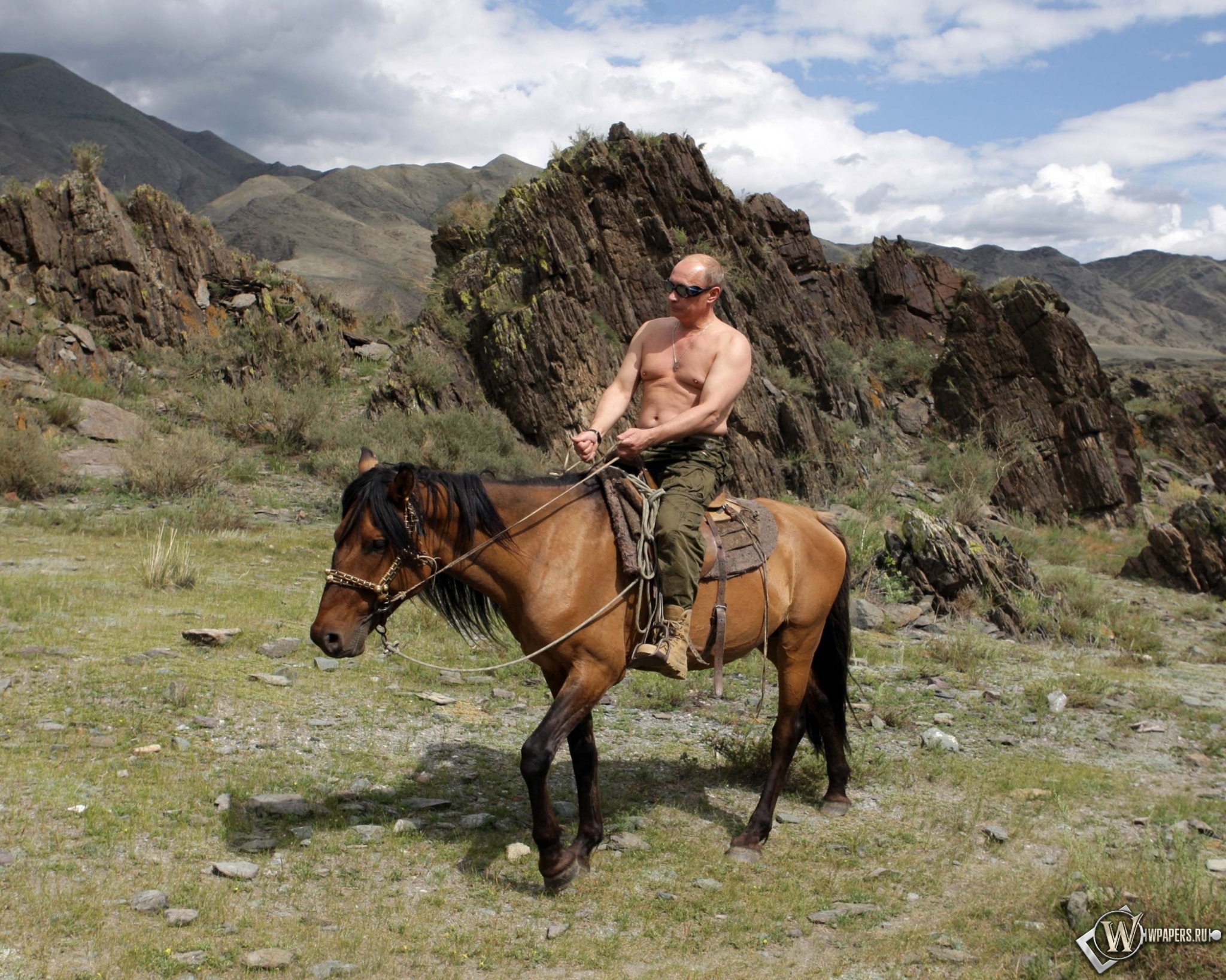 Владимир Путин на лошади 2048x1638