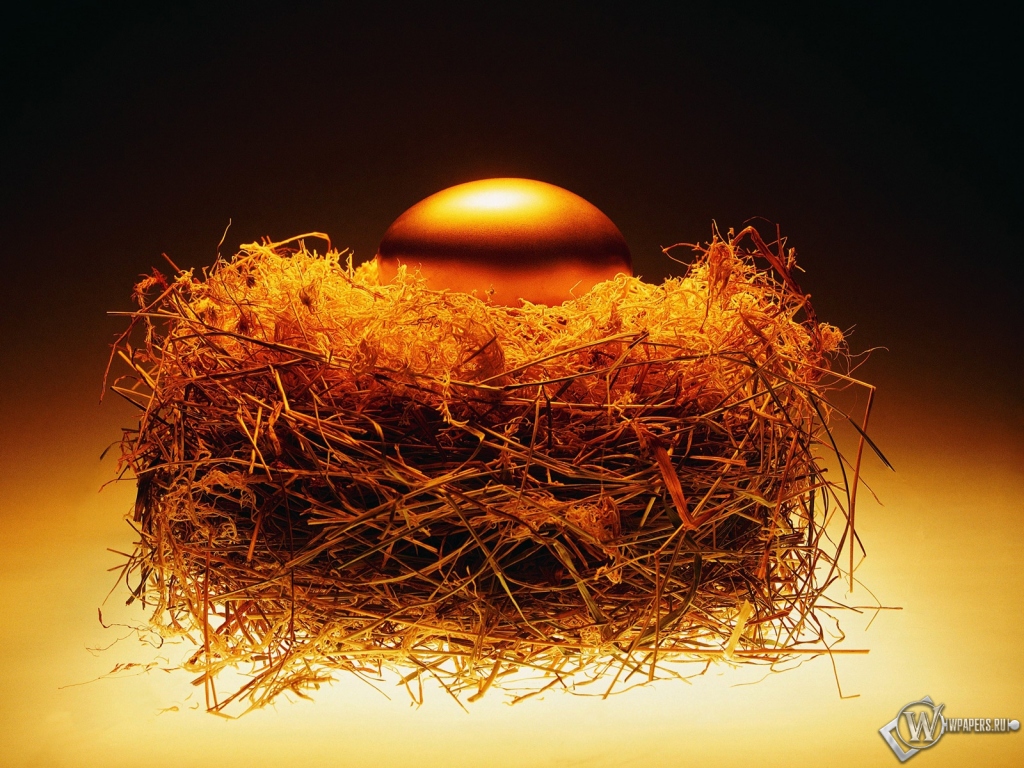 Золотое яйцо в гнезде 1024x768