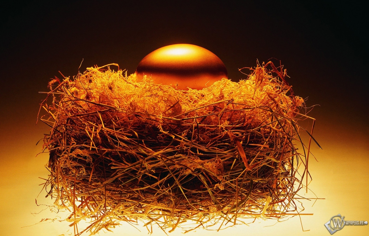 Золотое яйцо в гнезде 1200x768