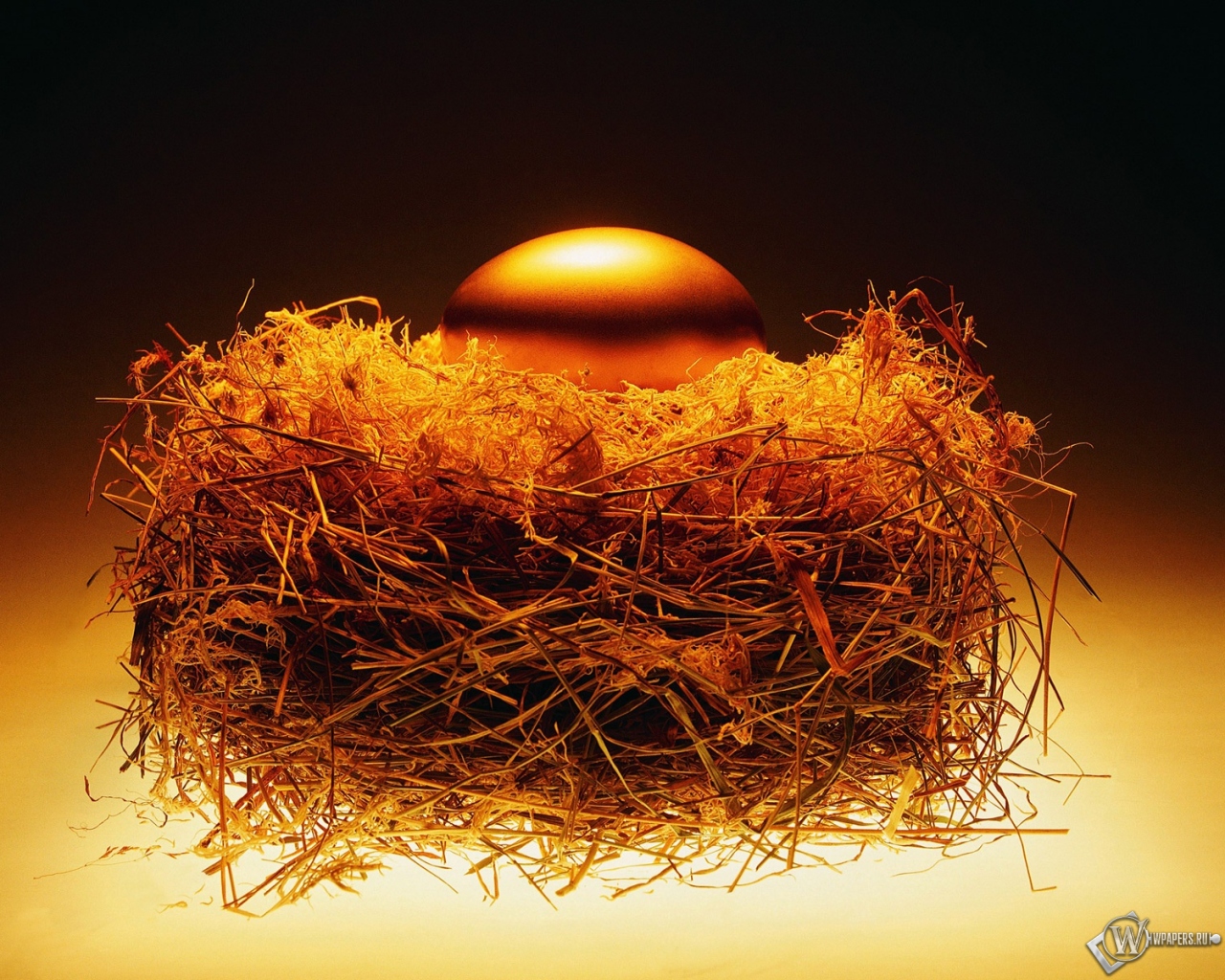 Золотое яйцо в гнезде 1280x1024