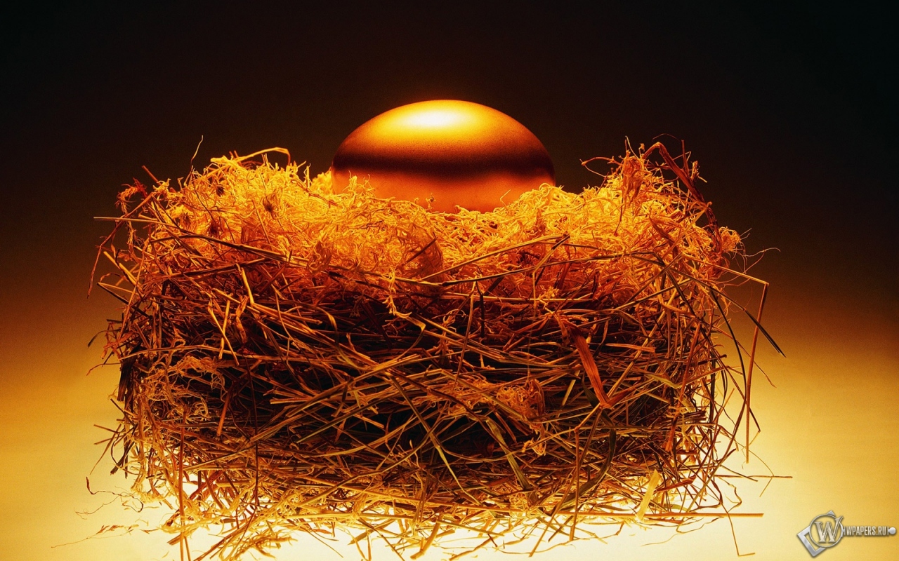 Золотое яйцо в гнезде 1280x800