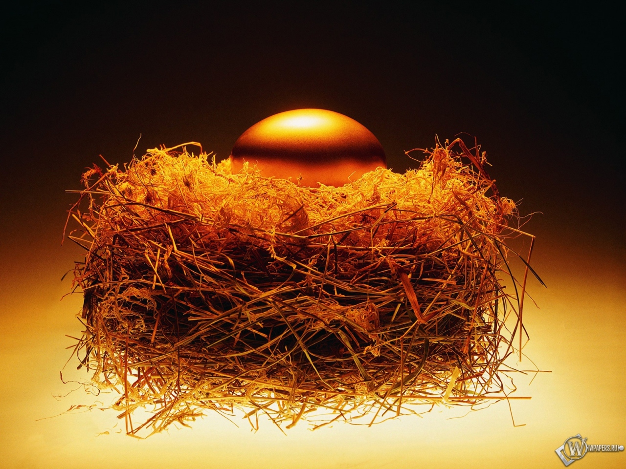 Золотое яйцо в гнезде 1280x960