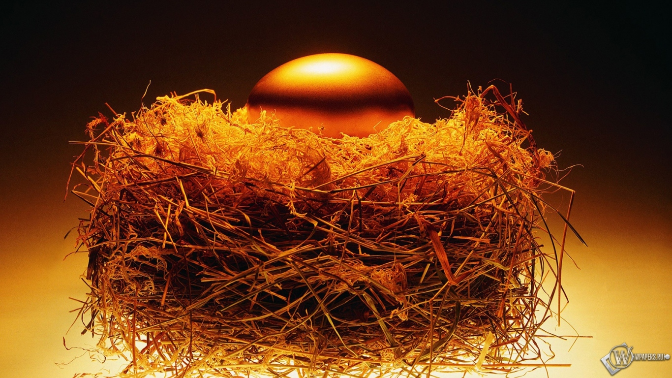 Золотое яйцо в гнезде 1366x768