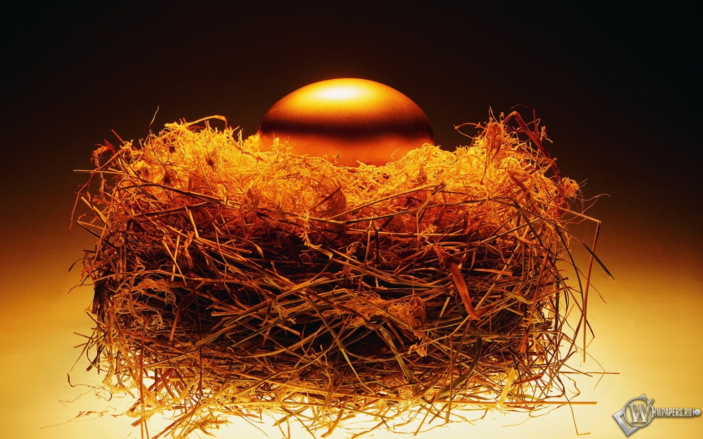 Золотое яйцо в гнезде 1440x900