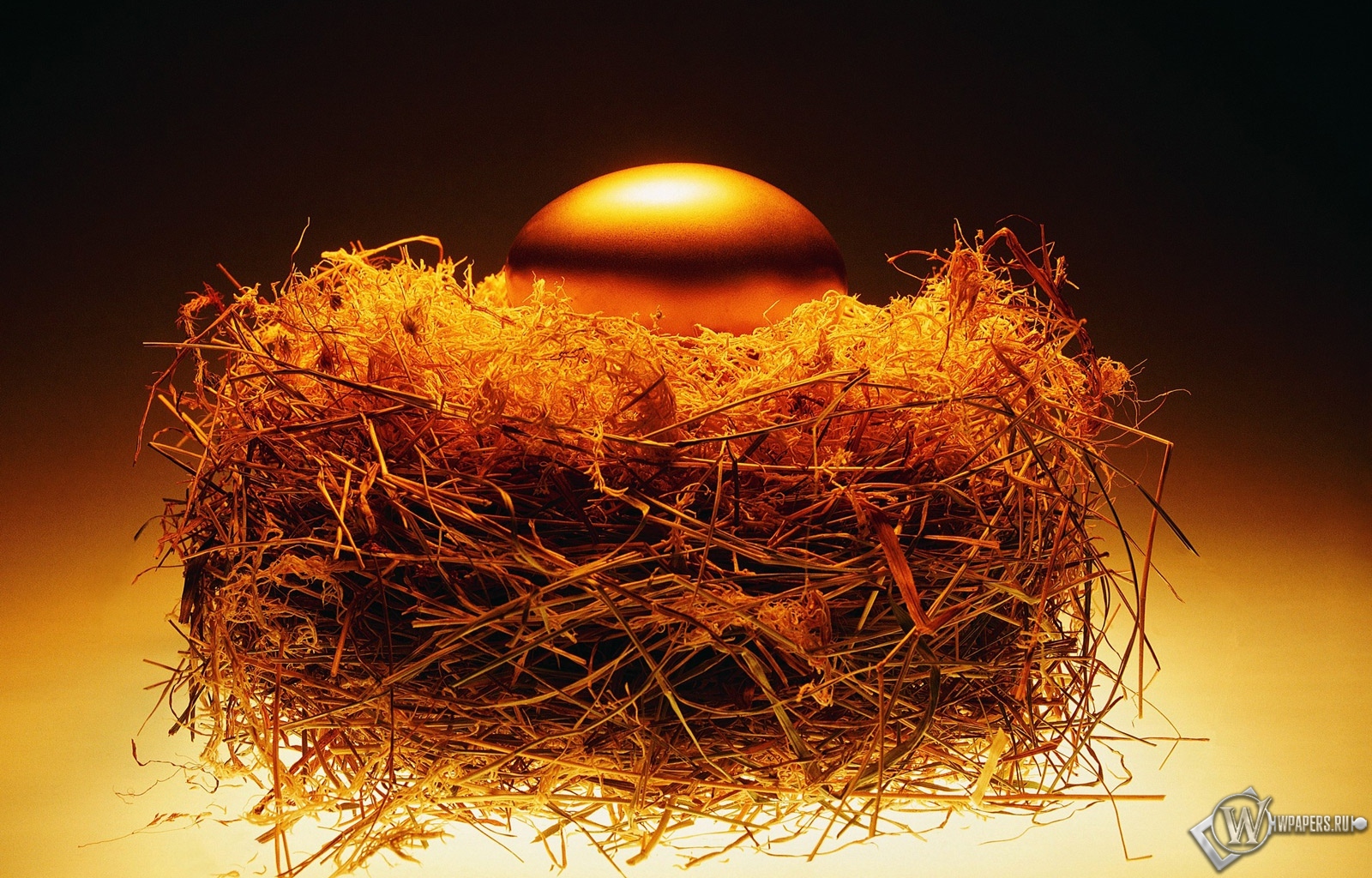 Золотое яйцо в гнезде 1600x1024