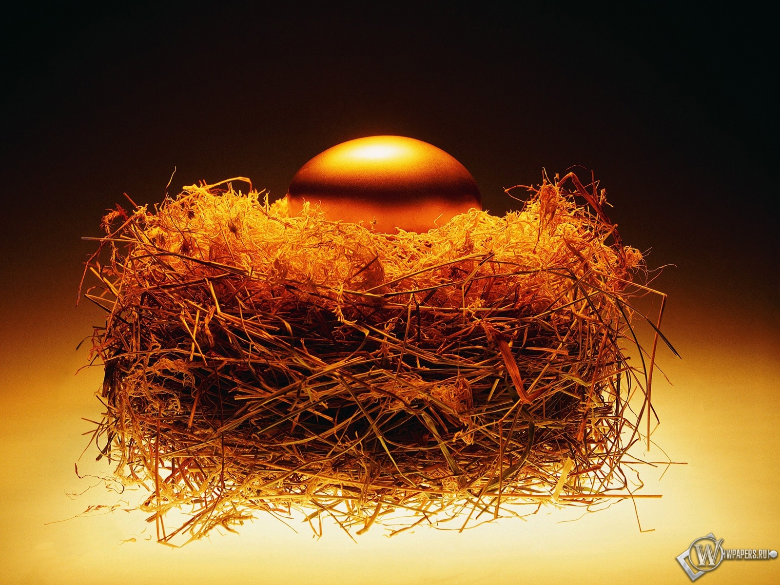 Золотое яйцо в гнезде 1600x1200