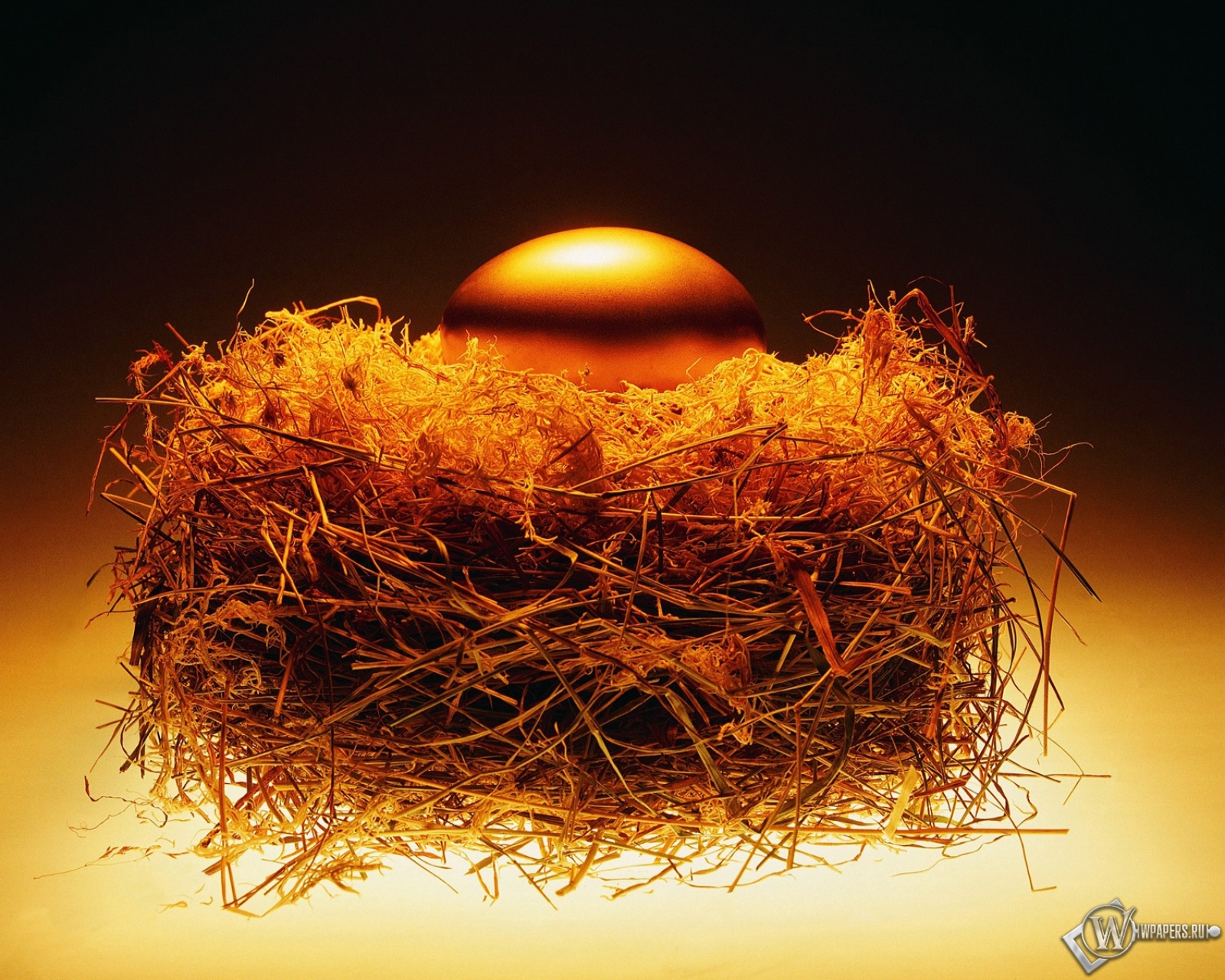 Золотое яйцо в гнезде 1600x1280