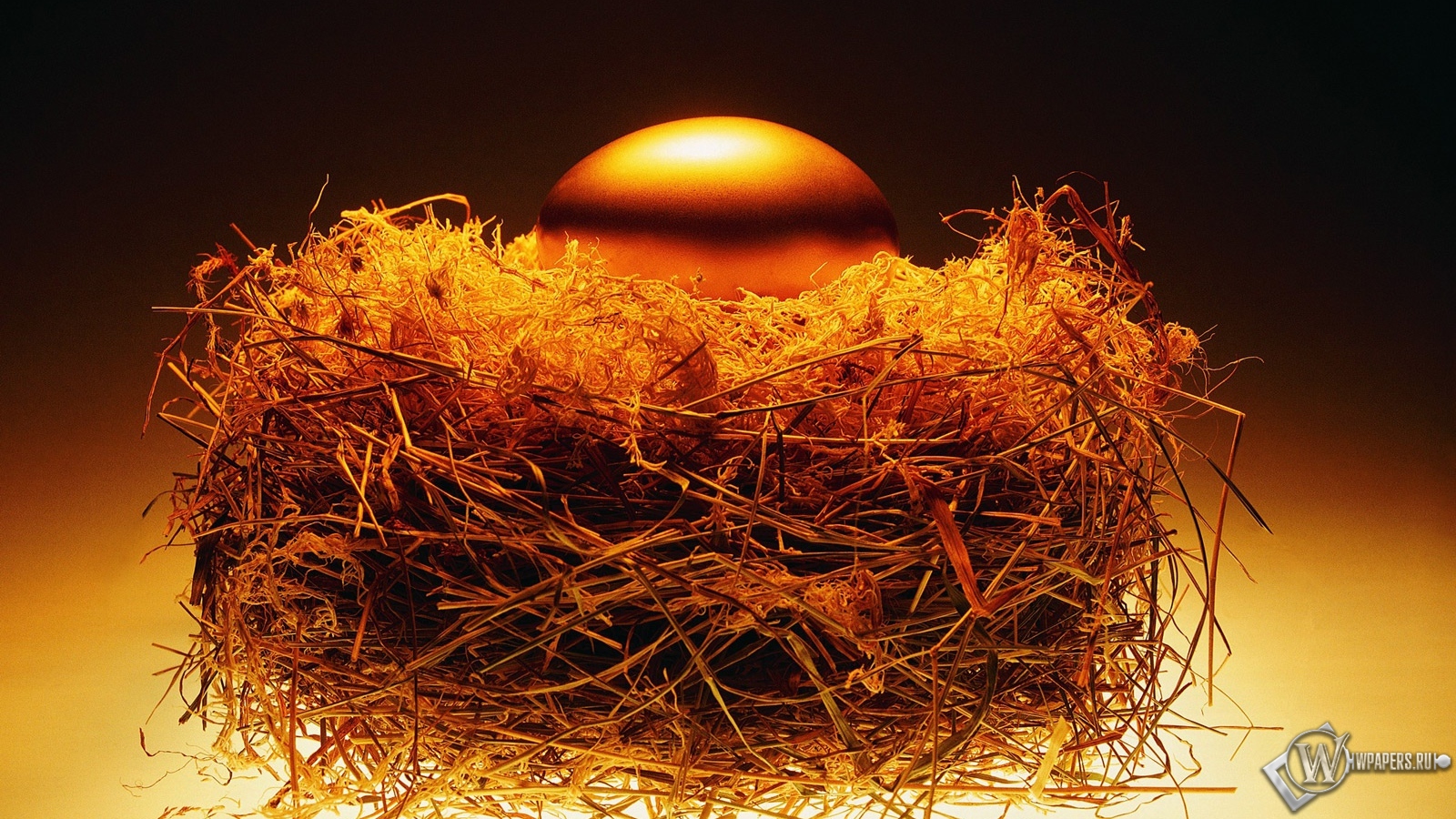 Золотое яйцо в гнезде 1600x900