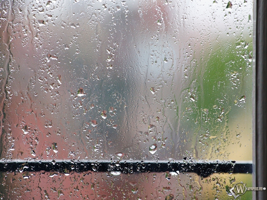 Дождь за окном 1024x768