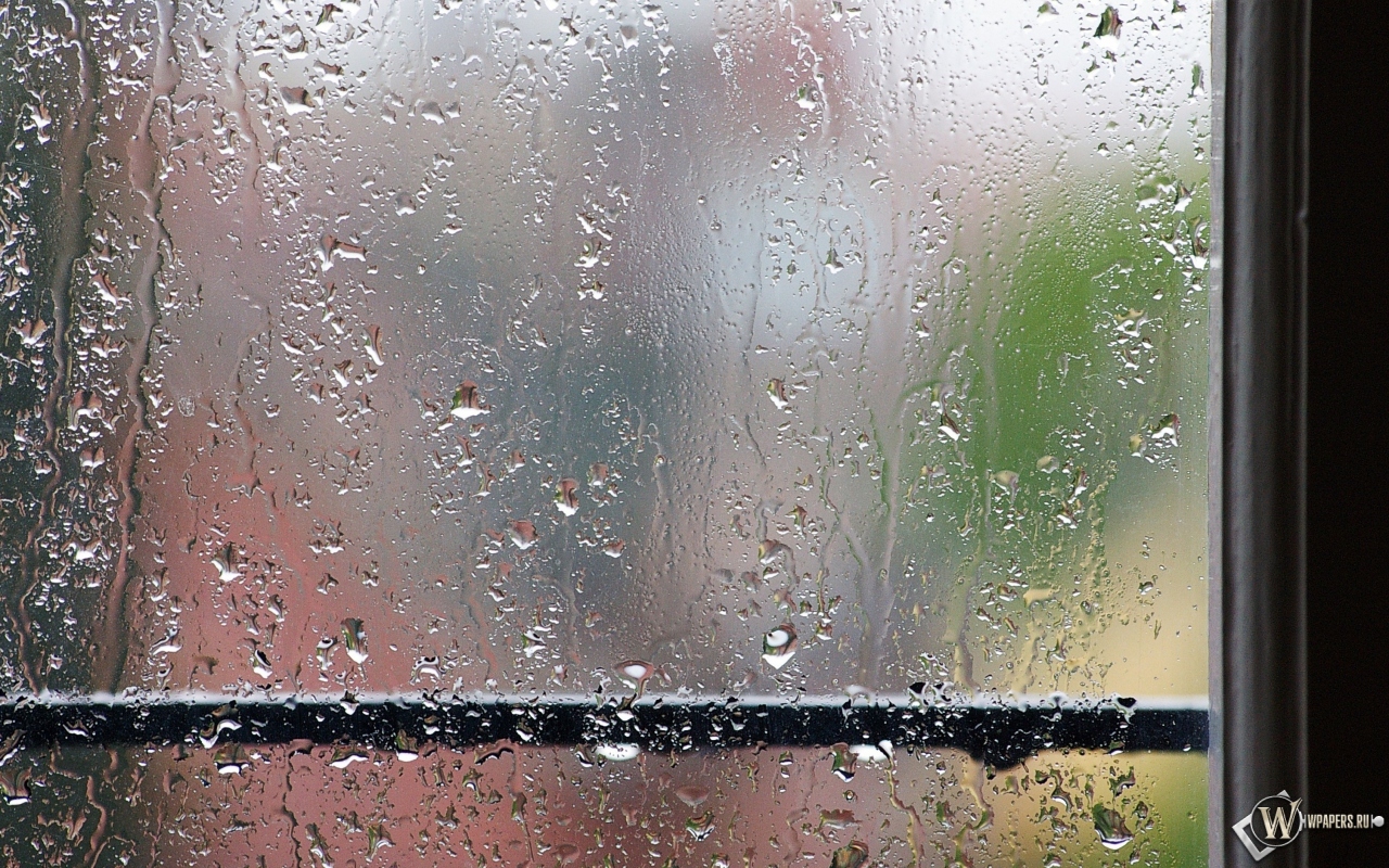 Дождь за окном 1280x800