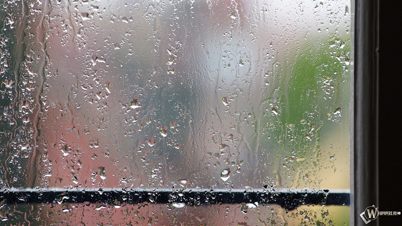 Дождь за окном 1366x768