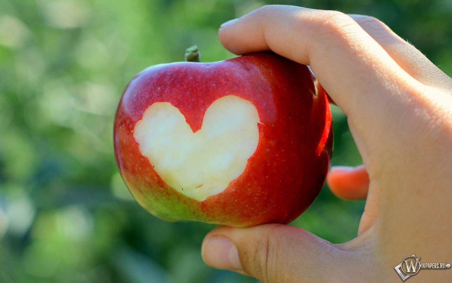 Яблочная любовь 1440x900