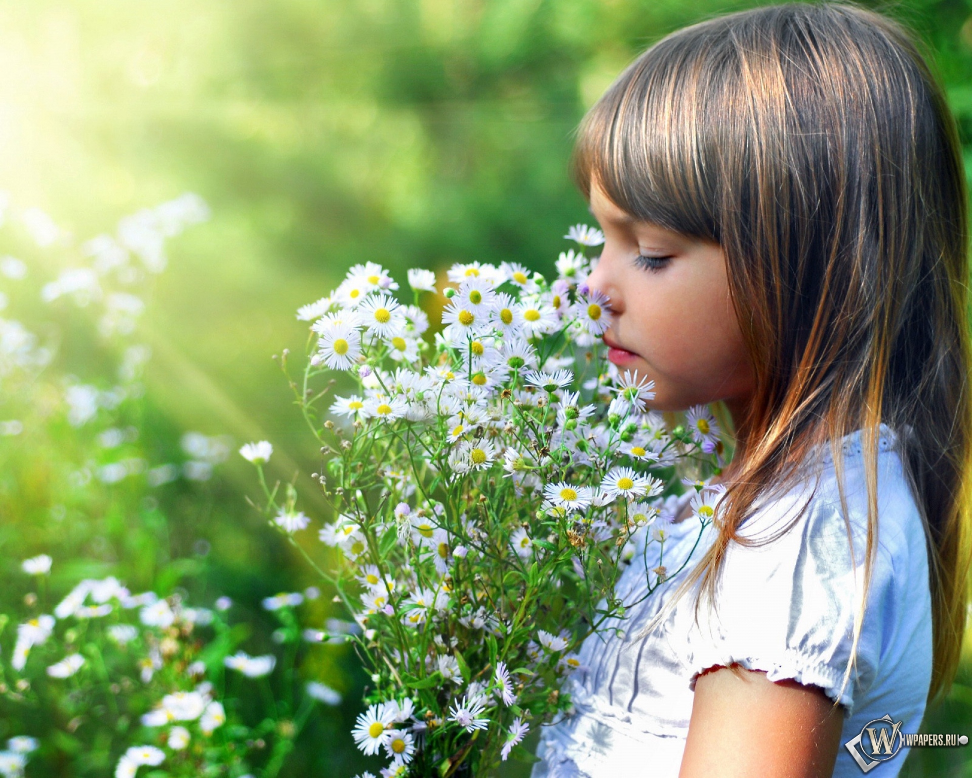 Я люблю маленьких девочек. Девочка с цветами. Ромашка для детей. Дети и природа.
