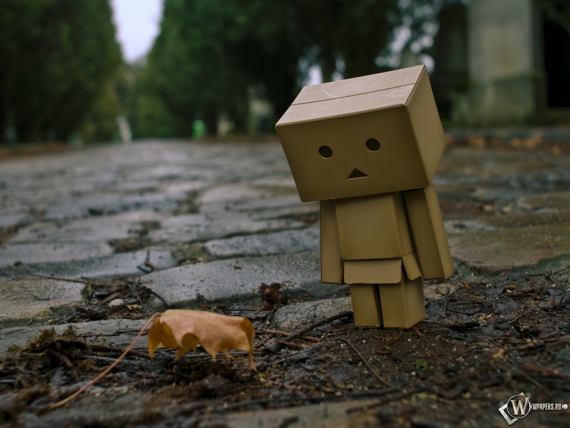 Danbo 1152x864