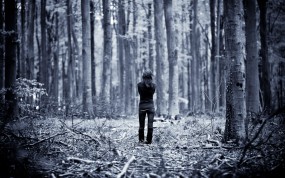 Обои Одинокая девушка: Одиночество, В лесу, Одна, Настроения
