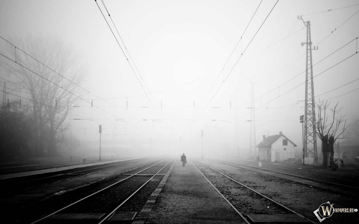 Железная Дорога в тумане 1440x900
