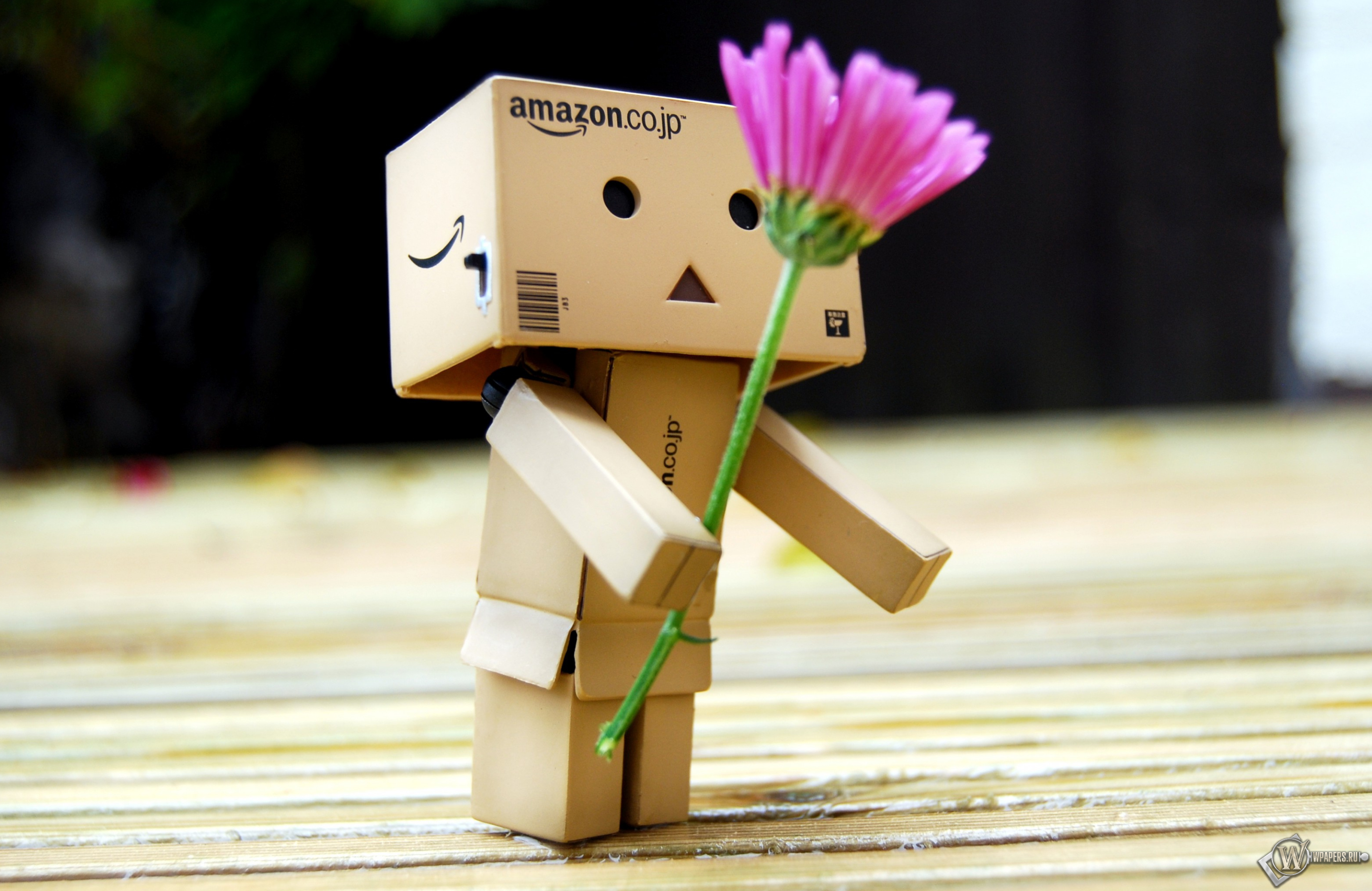 Danboard 3024x1964