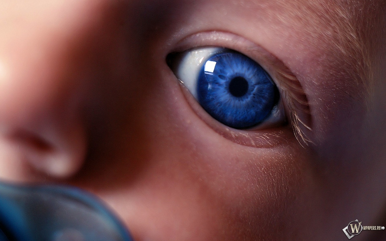 Глаз ребенка 1280x800