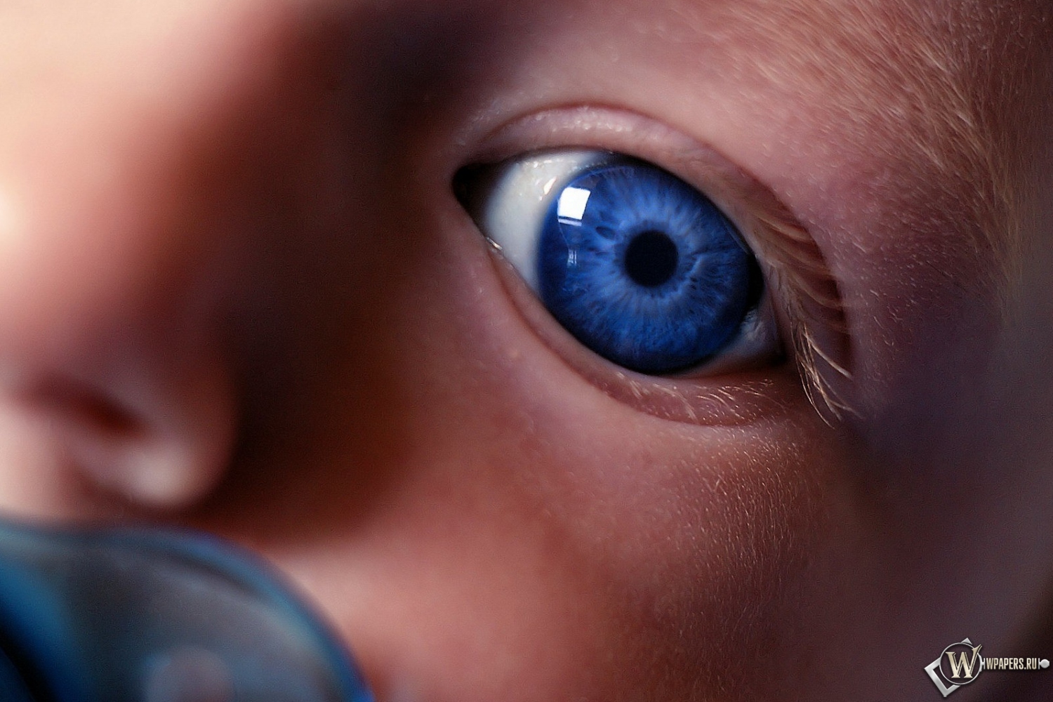 Глаз ребенка 1500x1000