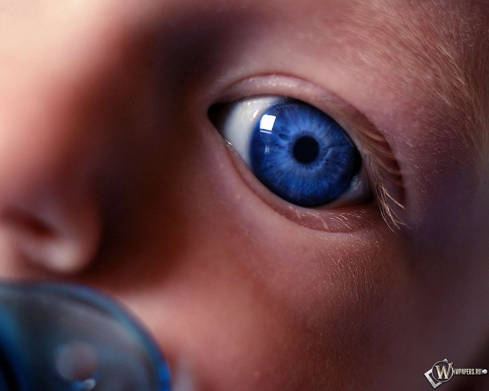 Глаз ребенка 1600x1280