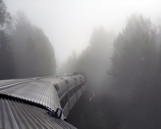 Поезд в тумане