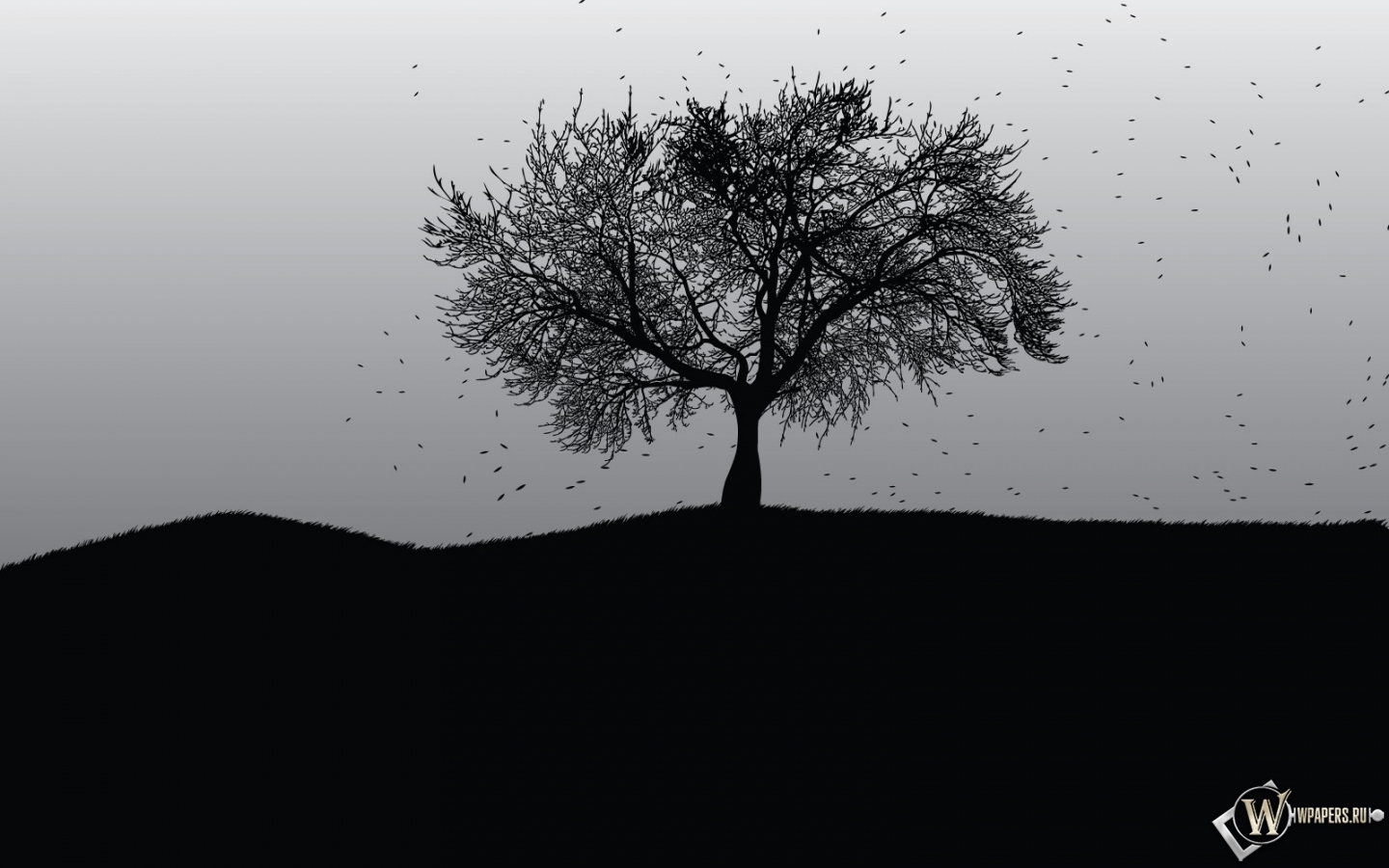 Мертвое дерево 1440x900
