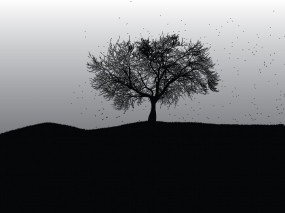 Обои Мертвое дерево: Дерево, Black, Dark, Настроения