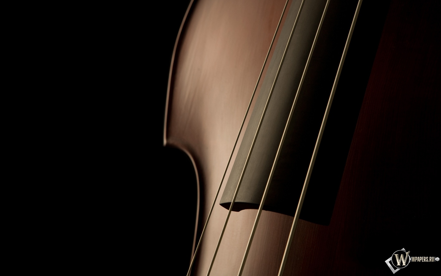 Скрипка 1440x900