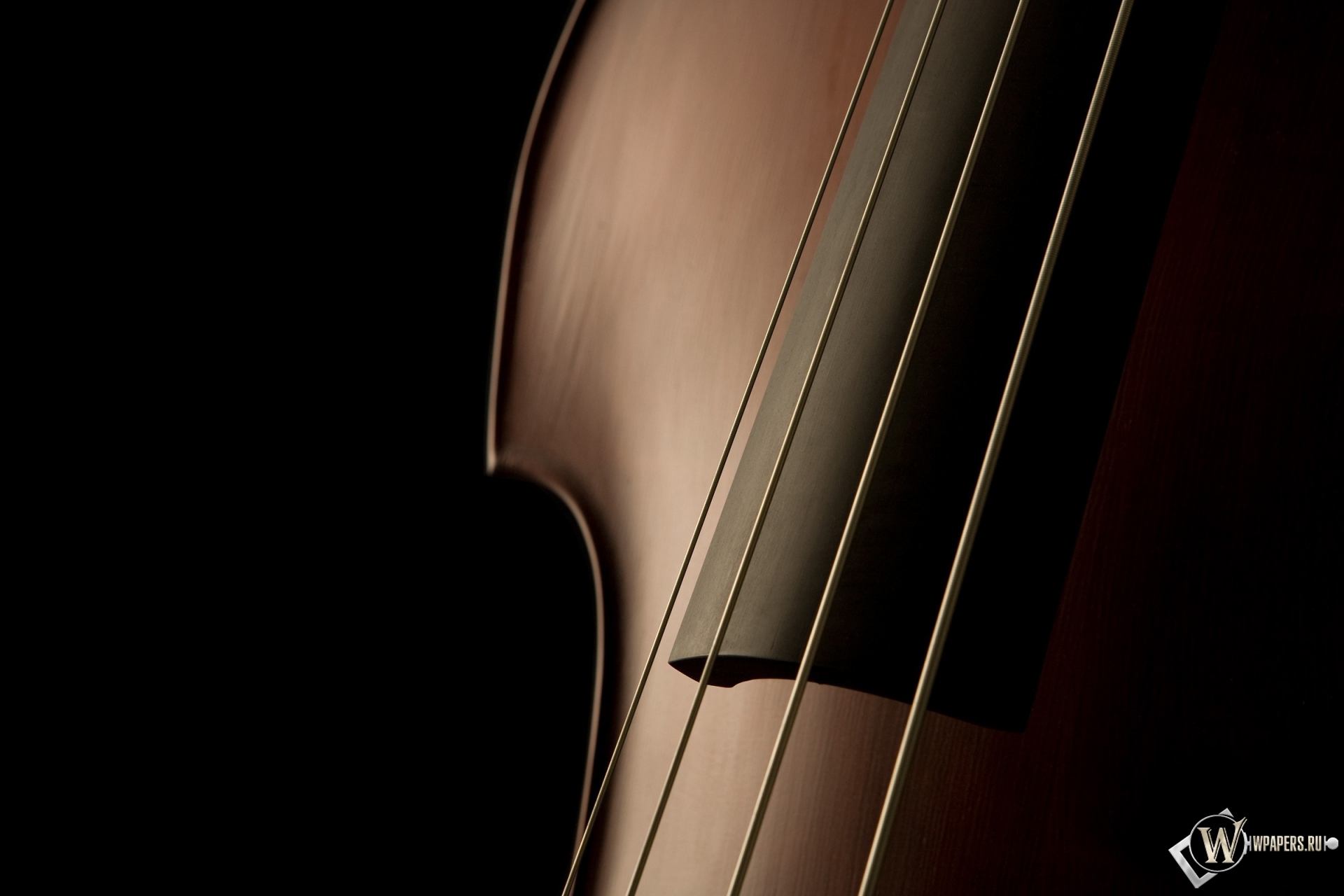 Скрипка 1920x1280