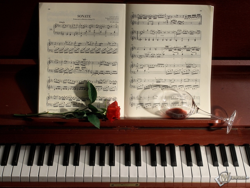 Роза на фортепиано 1024x768