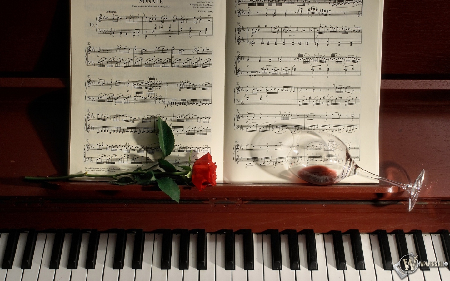 Роза на фортепиано 1440x900