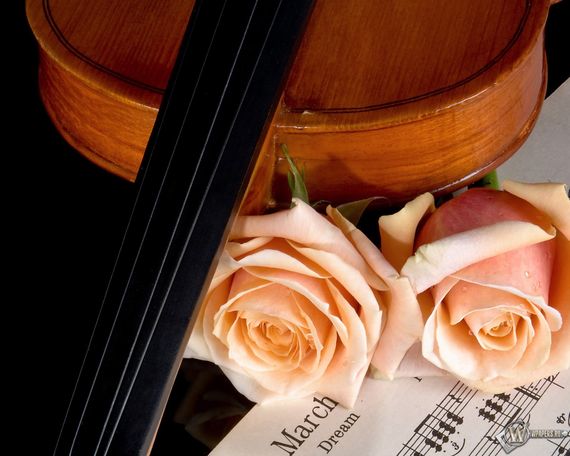 Скрипка и роза 1920x1536