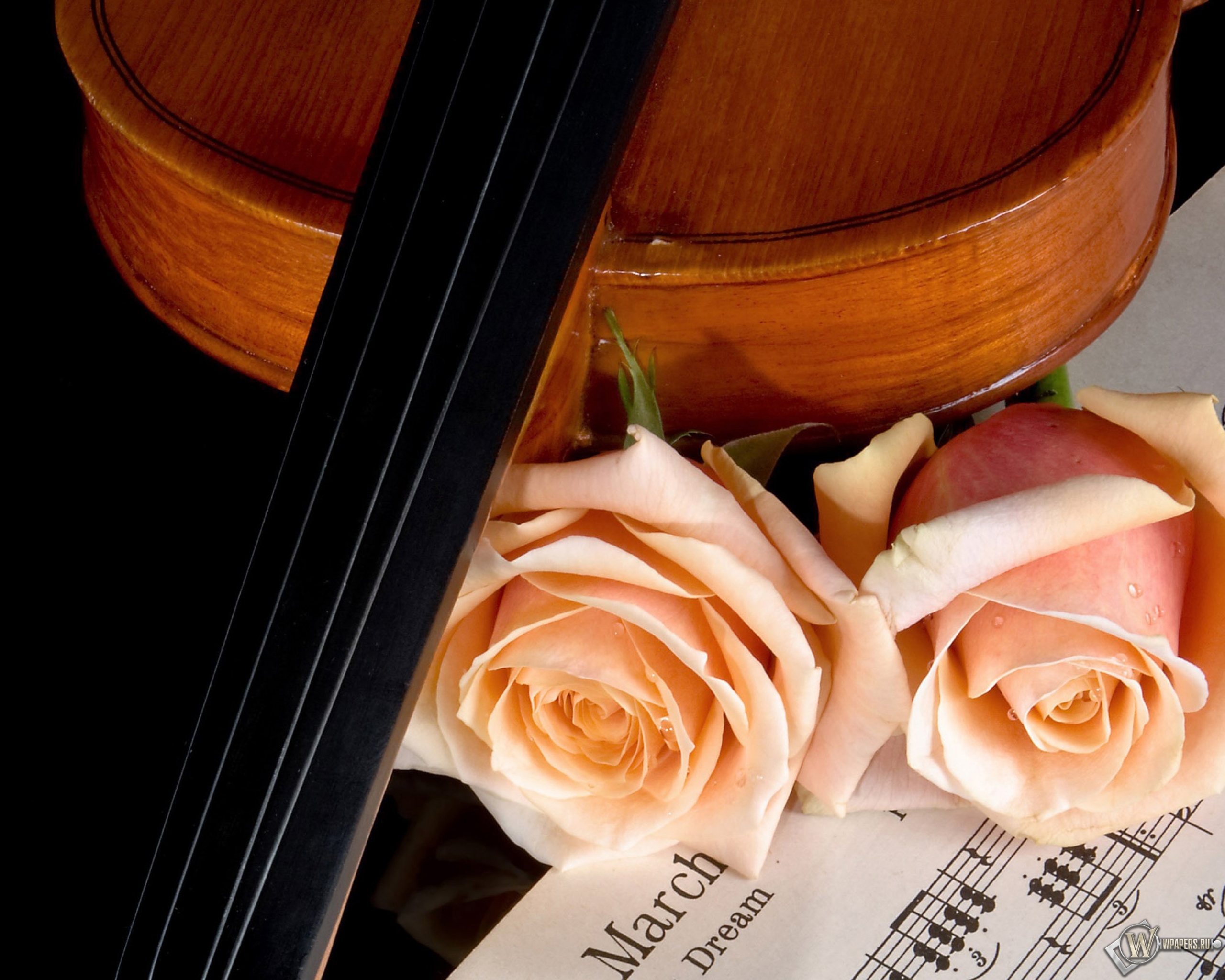 Скрипка и роза 2560x2048