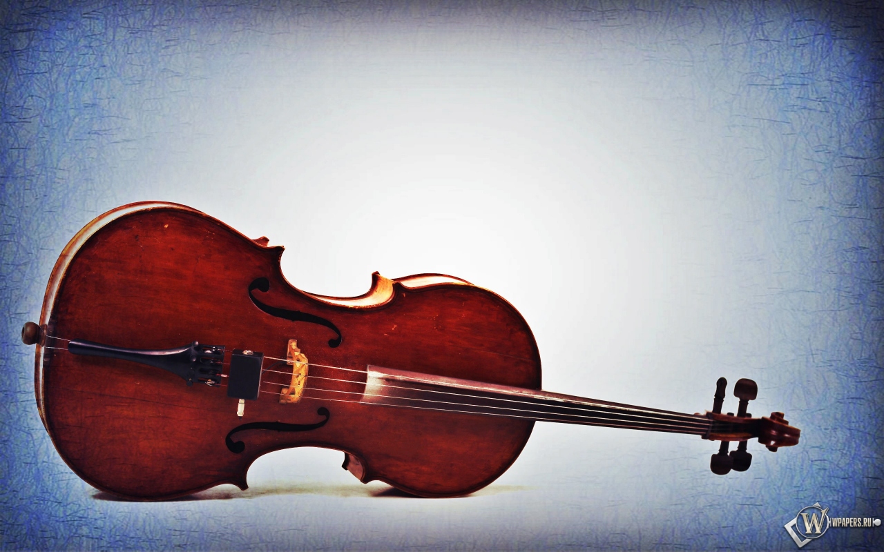 Старая виолончель  1280x800