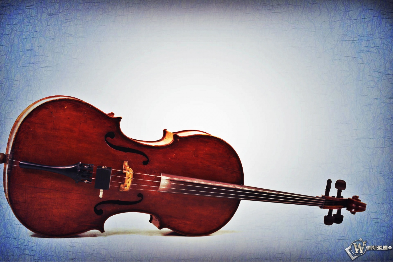 Старая виолончель  1500x1000