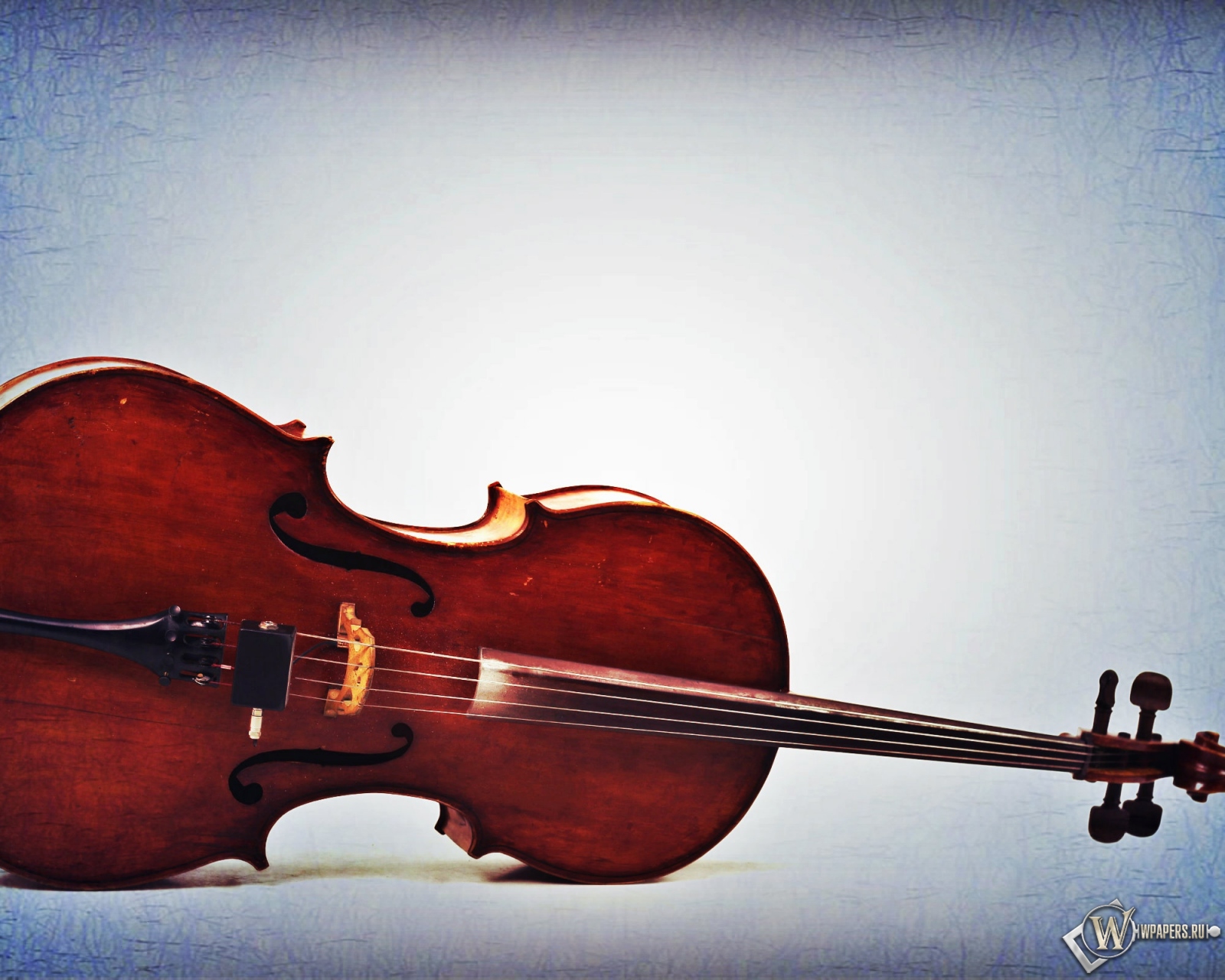Старая виолончель  1600x1280
