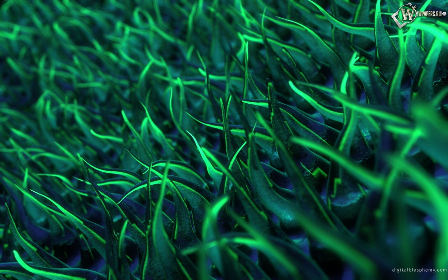 Красивая трава 1440x900
