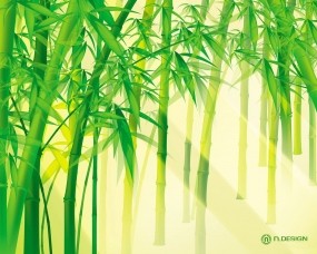 Обои Солнце сквозь бамбук: Свет, Зелень, Бамбук, Бамбук