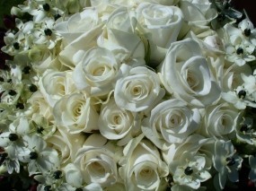 Обои White Roses: Букет, Белые розы, Цветы