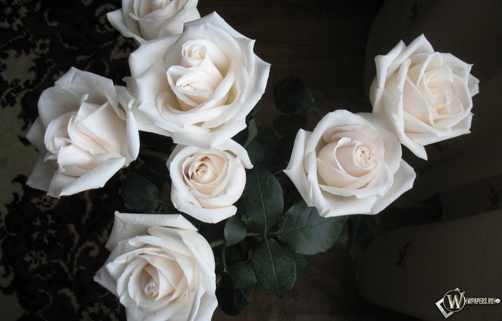 Белые розы 1600x1024