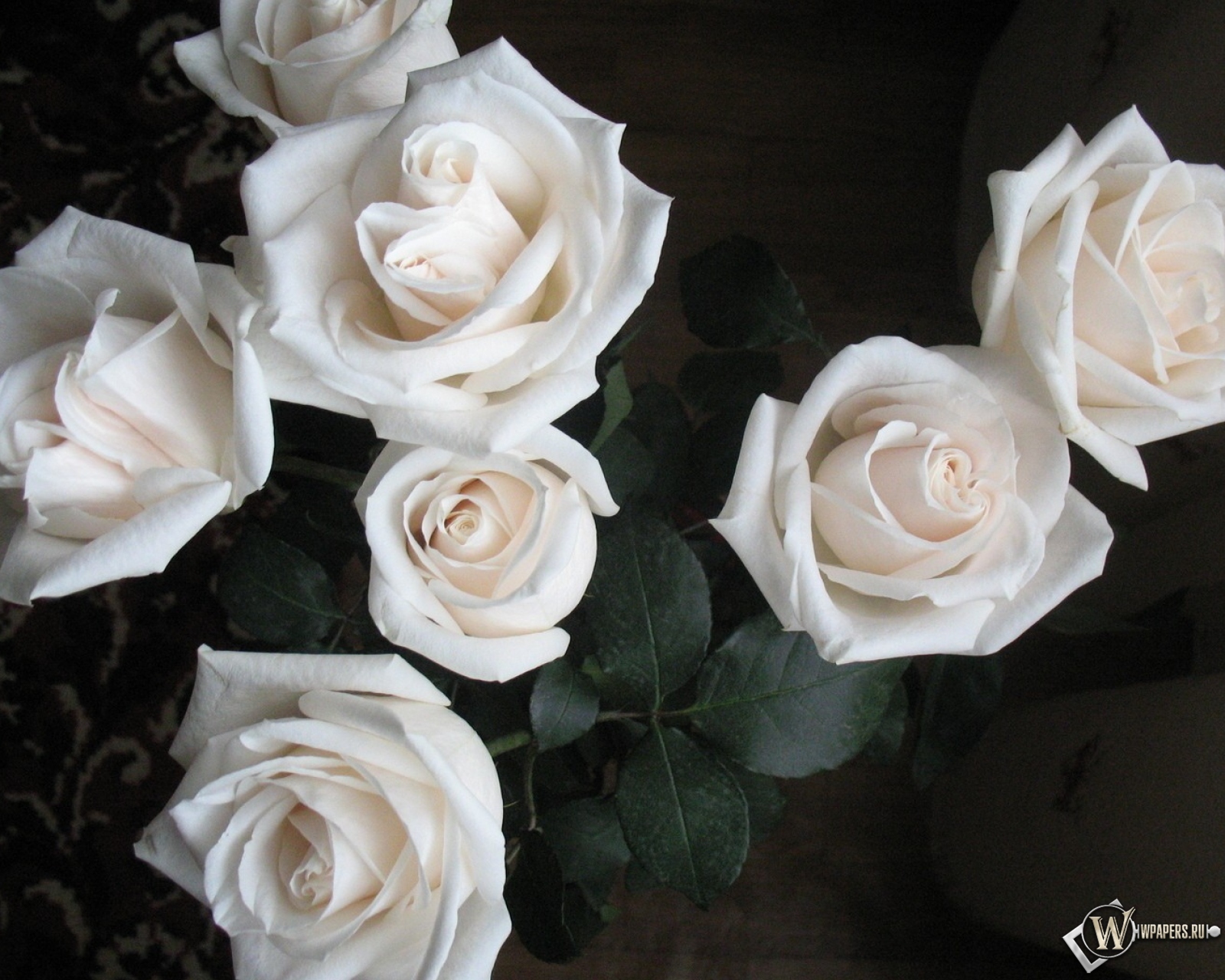 Белые розы 1600x1280