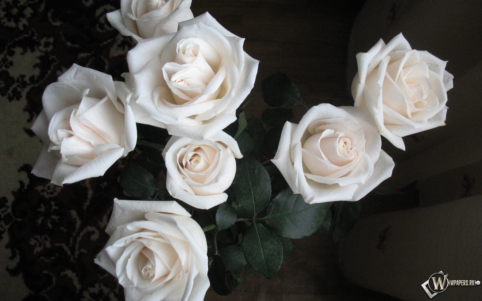 Белые розы 1680x1050