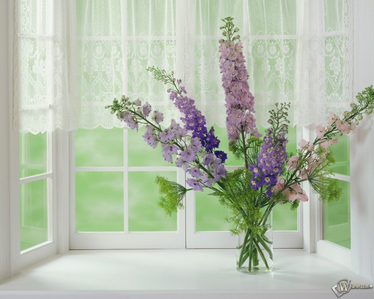 цветы на окне 1280x1024